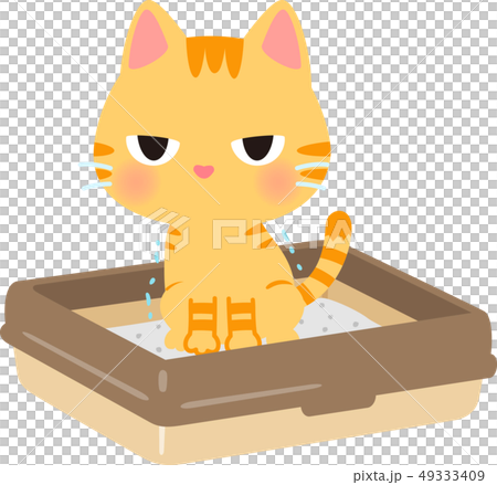 猫用トイレで用を足す猫 猫用トイレで用を足す猫 49333409