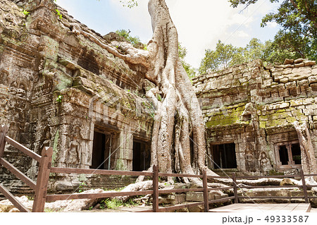 Prasat Ta Prohm Temple, siam reap, cambodia 49333587