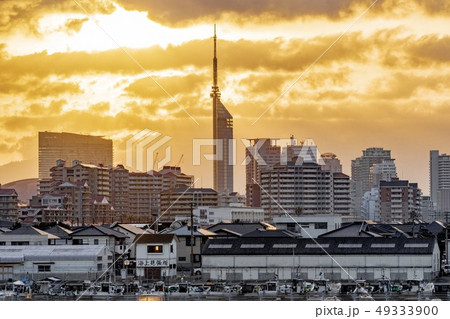 朝の福岡都市風景 49333900