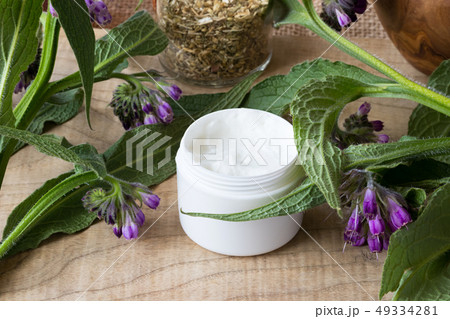 A jar of comfrey cream with fresh symphytum plant A jar of comfrey cream with fresh symphytum plant 49334281