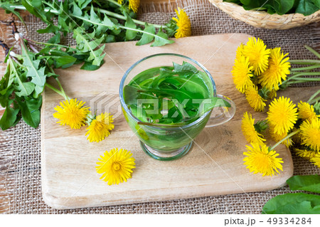 A cup of dandelion tea from fresh leaves 49334284