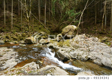 骸骨滝　赤目四十八滝　三重県 49334341