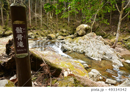 骸骨滝　赤目四十八滝　三重県 49334342