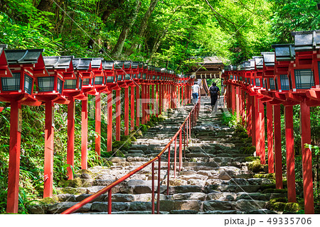 Fresh Green Kyoto Kifune Shrine Stock Photo