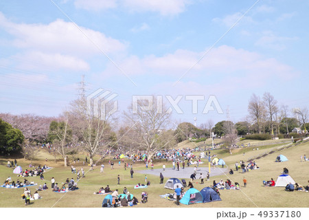 岸根公園 49337180