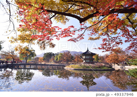 景福宮 香遠亭 紅葉 49337946