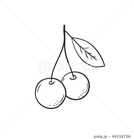 Vector Hand Drawn Cherry Iconのイラスト素材 49338706 Pixta
