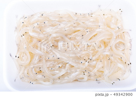 白魚 49342900