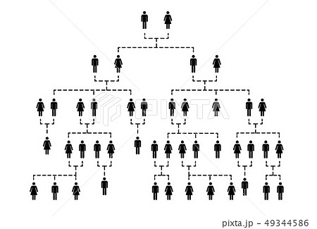 Complicated Family Tree Of Several Generations のイラスト素材