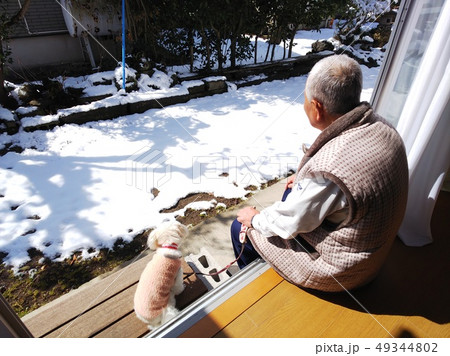 老人と犬 49344802