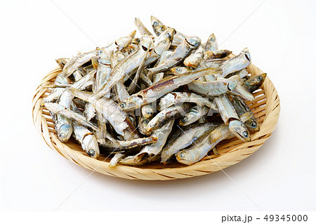 煮干し　いりこ 49345000