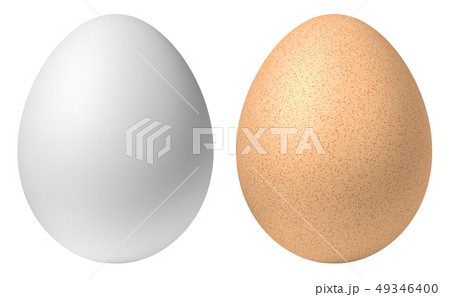 Chicken white and brown eggs isolated on white 49346400