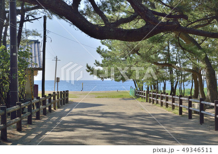 慶野松原 淡路島 慶野松原 淡路島 49346511