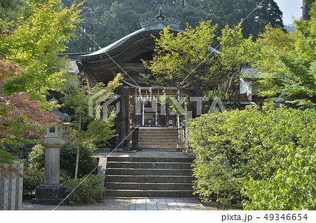 常宮神社 敦賀市 福井県 常宮神社 敦賀市 福井県 49346654