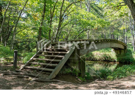 栃木県日光市　奥日光　湯川赤沼橋　（9月） 49346857