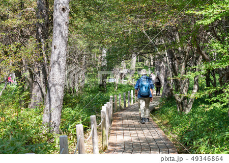 栃木県日光市　奥日光　小田代原　ハイク　（9月） 49346864