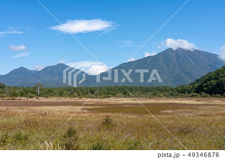 栃木県日光市　奥日光　小田代原　男体山　（9月） 49346876
