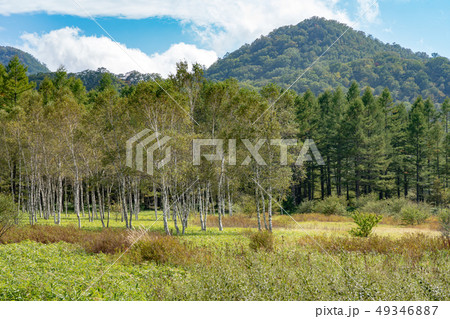 栃木県日光市　奥日光　小田代原　（9月） 49346887