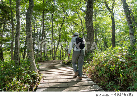 栃木県日光市 戦場ヶ原 ハイク (9月) 栃木県日光市 戦場ヶ原 ハイク (9月) 49346895
