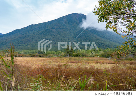 栃木県日光市 戦場ヶ原 男体山 (9月) 栃木県日光市 戦場ヶ原 男体山 (9月) 49346993