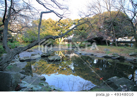 王子 名主の滝公園 王子 名主の滝公園 49348010