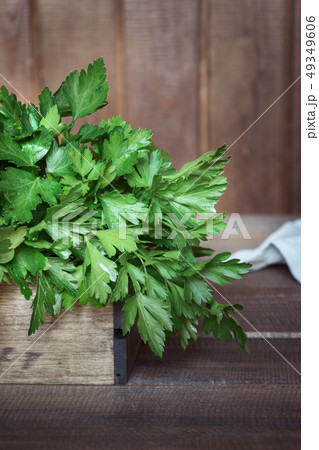 Fresh parsley in tray on dark rustic board. 49349606