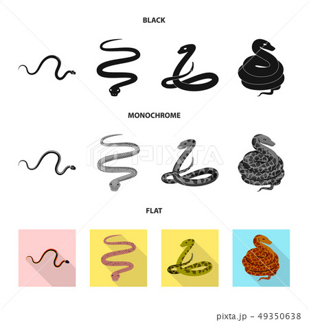 Vector illustration of mammal and danger icon. Set of mammal and medicine vector icon for stock. Vector illustration of mammal and danger icon. Set of mammal and medicine vector icon for stock. 49350638