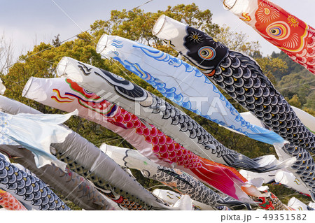 [佐賀県]川上峡の鯉のぼり 49351582