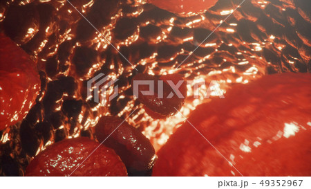 Red blood cells in vein or artery, flow inside inside a living organism. Responsible for oxygen Red blood cells in vein or artery, flow inside inside a living organism. Responsible for oxygen 49352967