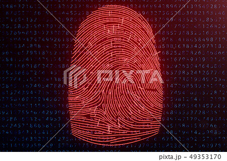 3D illustration Fingerprint scan provides security access with biometrics identification. Concept 49353170
