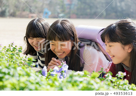 小学生　花壇　花　道草　寄り道 49353613