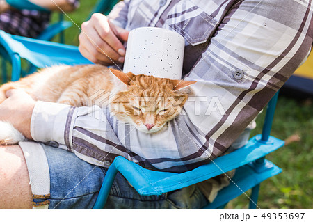 People, tourism and nature concept - Man holding funny cat on nature People, tourism and nature concept - Man holding funny cat on nature 49353697