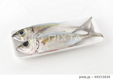 メアジ、トッパク、ガチュン （パック入り） 49353836