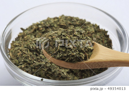 (ハーブ)　マルべリー 49354013