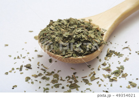 (ハーブ) マルべリー (ハーブ) マルべリー 49354021