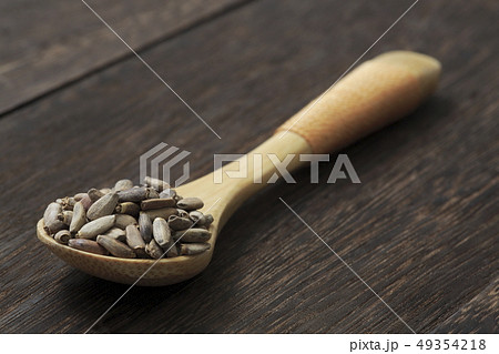 《ハーブ》 ミルクシスル 《ハーブ》 ミルクシスル 49354218