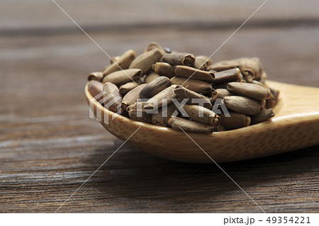 《ハーブ》　ミルクシスル 49354221