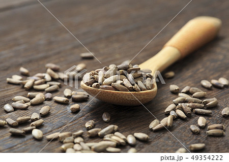 《ハーブ》　ミルクシスル 49354222