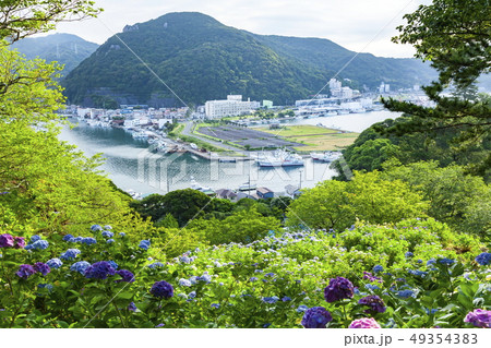 下田公園から眺める紫陽花と下田内港の風景、静岡県下田市にて 下田公園から眺める紫陽花と下田内港の風景、静岡県下田市にて 49354383