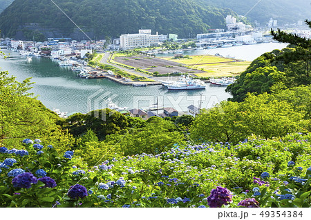 下田公園から眺める紫陽花と下田内港の風景 静岡県下田市にての写真素材