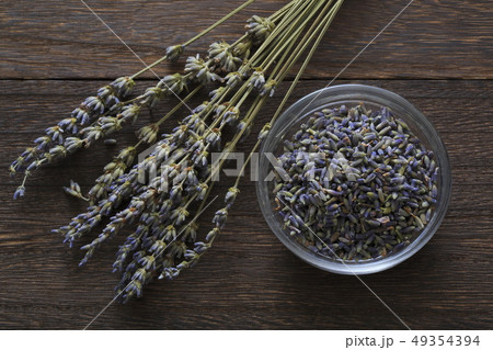 《ハーブ》　ラベンダー 49354394