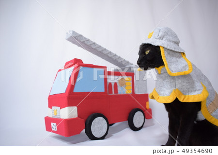 コスプレをしている黒猫の写真（消防士） 49354690