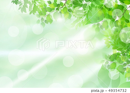 Fresh green light green background - Stock Illustration [49354732] - PIXTA
