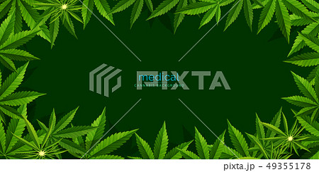 Marijuana plant and cannabis oil drop vector. Marijuana plant and cannabis oil drop vector. 49355178