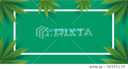 Marijuana plant and cannabis oil drop vector. 49355179