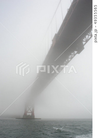 海外 北米 米国 49355565