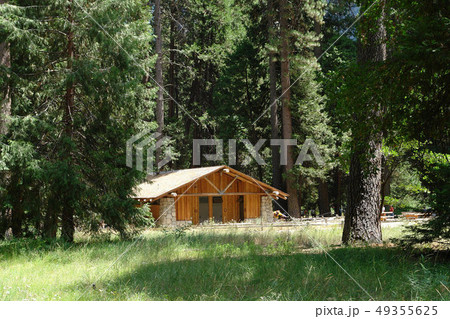 海外 北米 米国 49355625