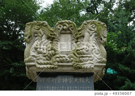 ゼオライト 貴腐 ボンウォンサ 49356007