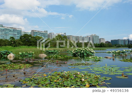 韓国 京畿道 キョンギド 49356136