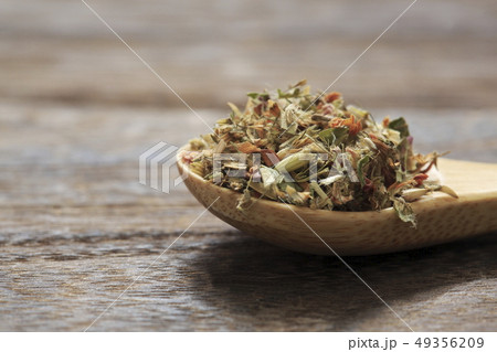 《ハーブ》 レッドクローバー 《ハーブ》 レッドクローバー 49356209